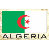 novelty fridge magnets