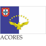 small flags of the world