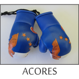mini boxing gloves