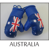 buy boxing gloves online