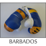 mini boxing gloves