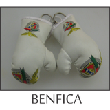 BOXING-GLOVES