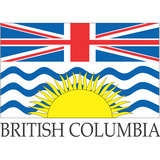 small flags of the world