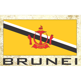 novelty fridge magnets