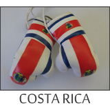 mini boxing gloves
