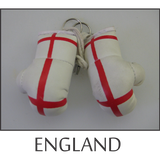 best boxing gloves