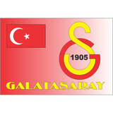 novelty fridge magnets