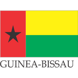 small flags of the world