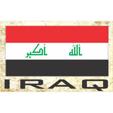 novelty fridge magnets