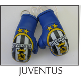mini boxing gloves