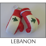 buy boxing gloves online