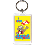 Toronto Special Acrylic Key Holder