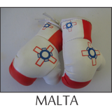boxing glove