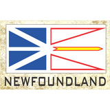 novelty fridge magnets