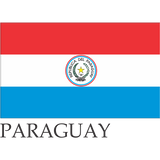 small flags of the world