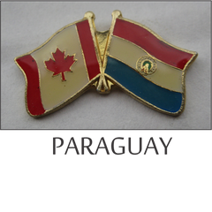 Flag lapel pins