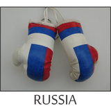 buy boxing gloves online