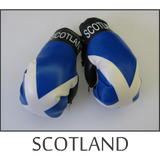 mini boxing gloves