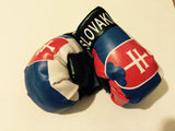 Slovakia Mini Boxing Glove