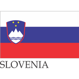 small flags of the world