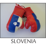 mini boxing gloves
