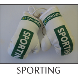 mini boxing gloves