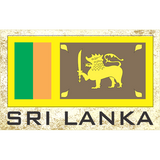 novelty fridge magnets