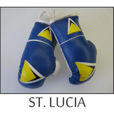 BOXING-GLOVES