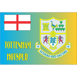 novelty fridge magnets