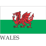 small flags of the world