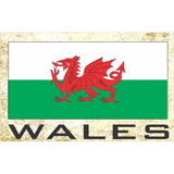 novelty fridge magnets