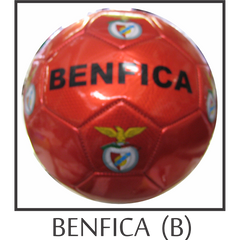 official soccer ball