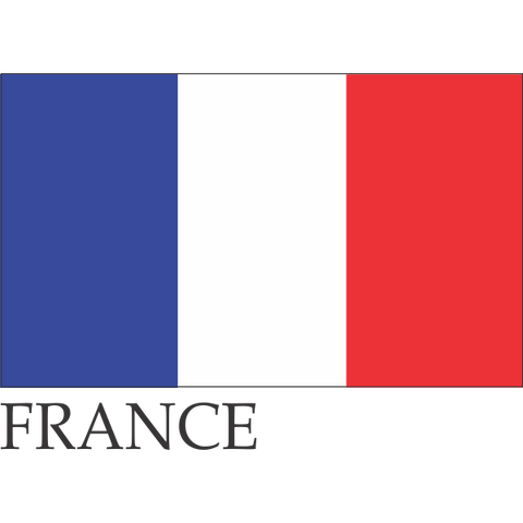 France Lapel Pin (Double Waving Flag w/USA)