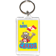 Toronto Special Acrylic Key Holder