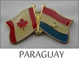 Flag lapel pins