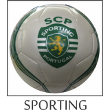 Sporting Soccer Ball