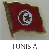 flag pins