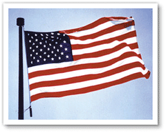 USA American Flags
